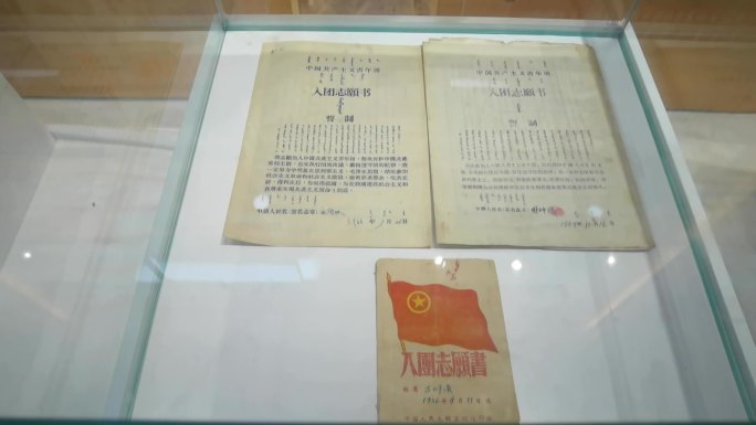 60年代入团志愿书