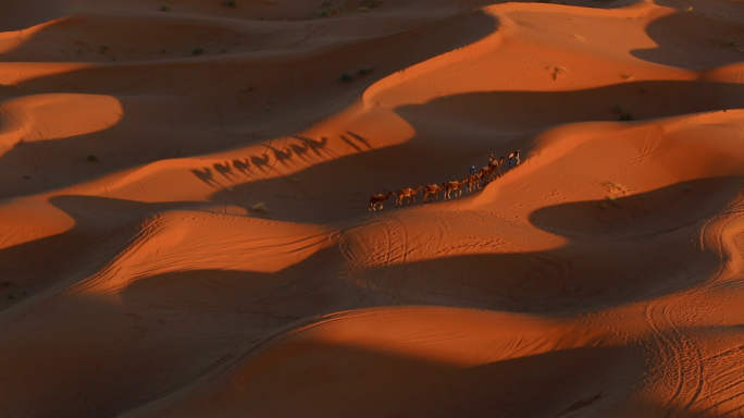 摩洛哥撒哈拉沙漠驼队