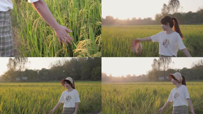 【合集】4K年轻女性在金色稻田开心行走
