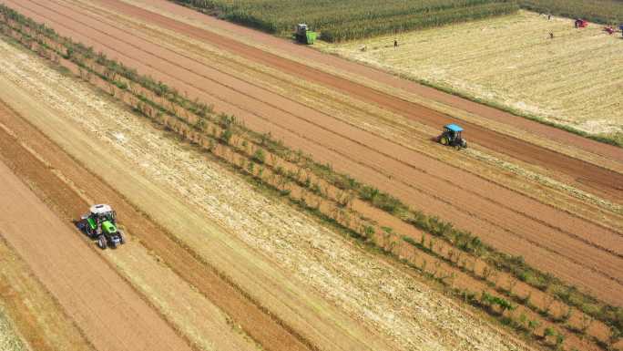 陕西农村丰收季节收割玉米播种机