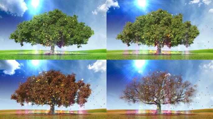 超高清循环转动大树四季变化
