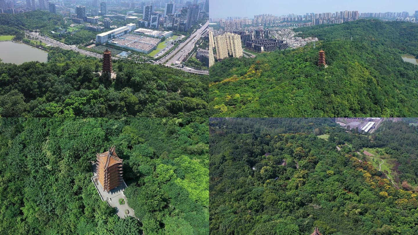 航拍重庆两江新区照母山森林公园
