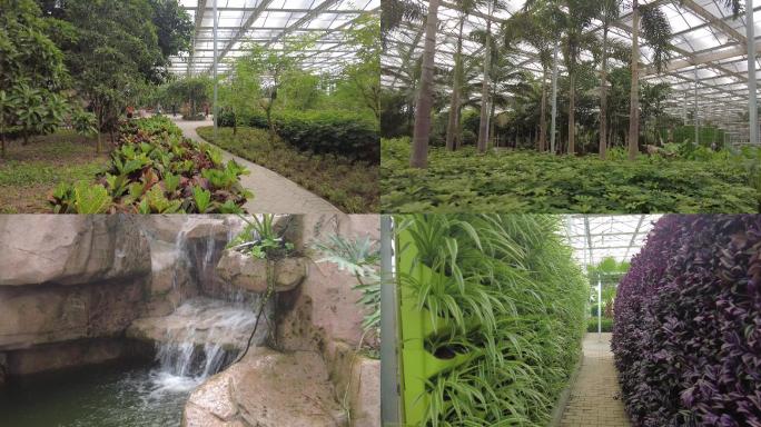 生态休闲农业观光园立体种植现代农业种植