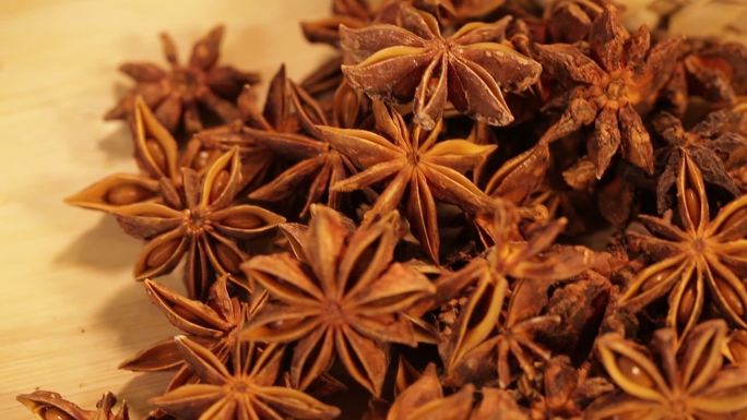 辨别假大料莽草 (7)