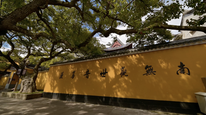 原创中国古建筑普陀山普济寺寺院寺庙