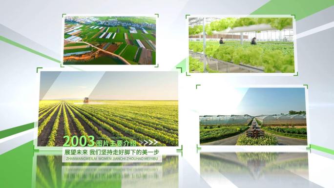 明亮的绿色农业旅游多图文时间线AE模板