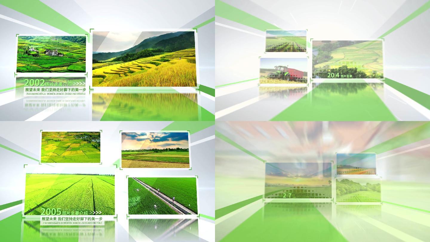 明亮的绿色农业旅游多图文时间线AE模板