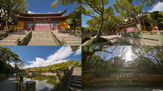 原创中国古建筑普陀山普济寺寺院寺庙