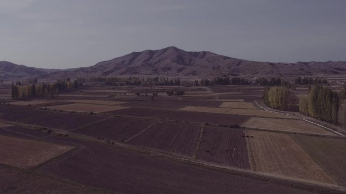 风景