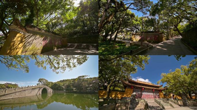 普陀山普济寺古建筑寺院寺庙传统文化