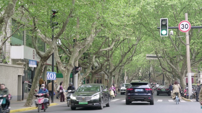 上海梧桐树长宁区愚园路美丽人文历史街道