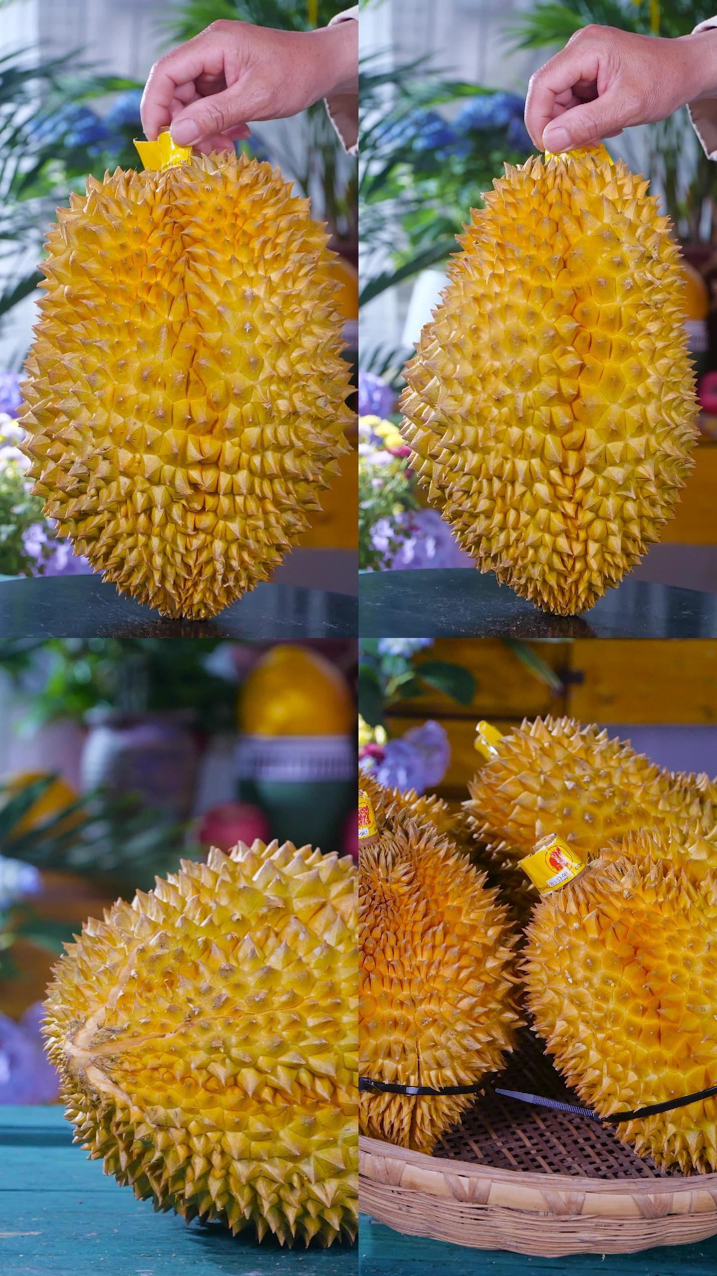 榴莲视频app在线观看_榴莲视频app在线观看_榴莲视频app在线观看