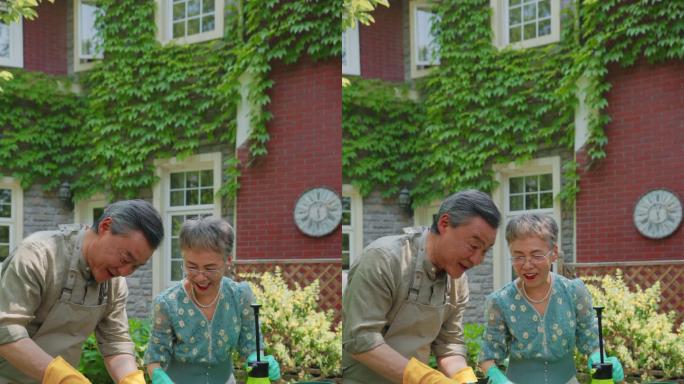 老年夫妇在院子里修剪花草