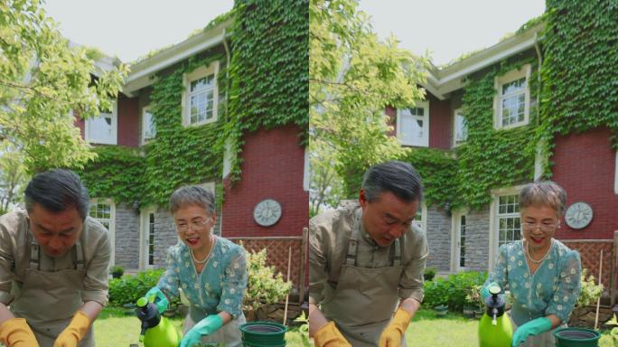 老年夫妇在院子里修剪花草