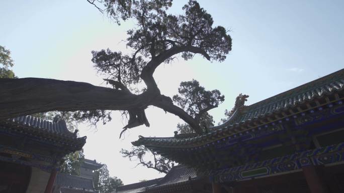 山西交城卦山旅游风景区4K