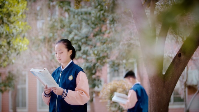 春天的校园美景读书的中学学生