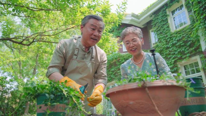 老年夫妇在院子里修剪花草