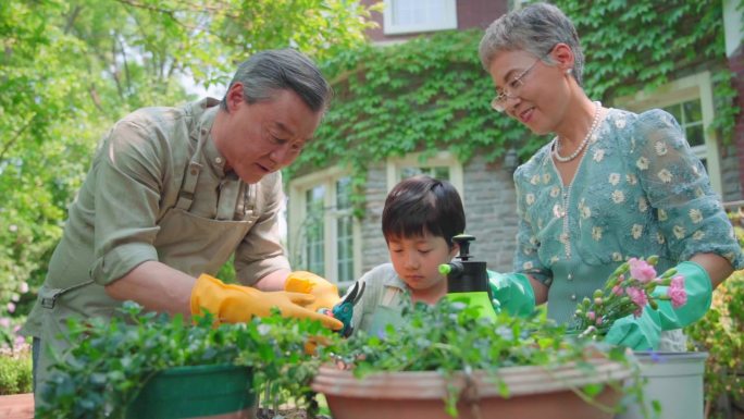 祖孙三人在院子里修剪花草