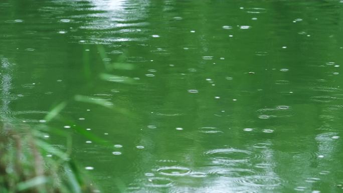 湖面涟漪-秋雨-雨滴-特写