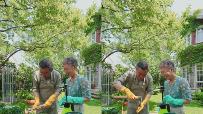 老年夫妇在院子里修剪花草