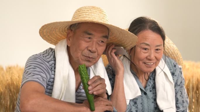 老年夫妇在麦田使用手机通讯