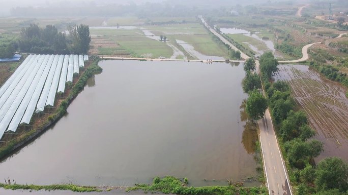 百亩农田被毁 河水漫入田地大面积积水