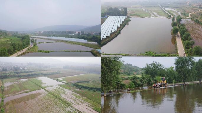 百亩农田被毁 河水漫入田地大面积积水