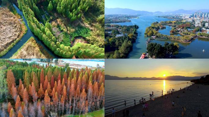 高原湖泊 生态湿地 生物多样性