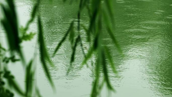 湖面涟漪雨滴-柳树飘动