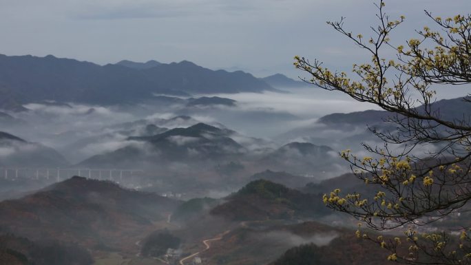 高山云雾云海高速公路高架桥野花春天原素材