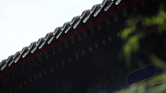北京真觉寺雨景