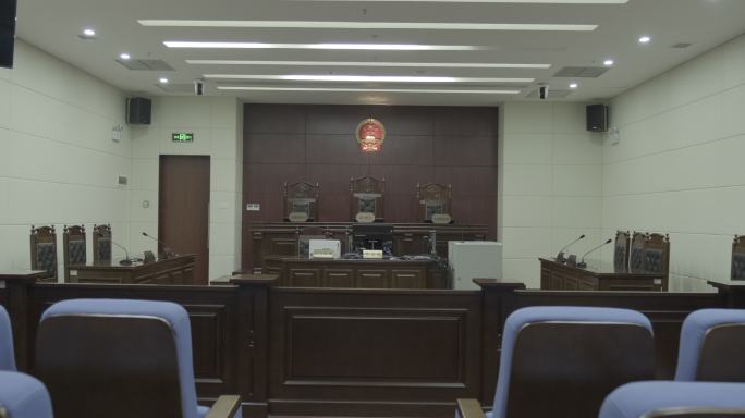 法院检察院司法机关内部审判庭国旗法槌