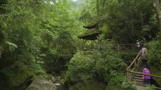 四川省青城山栈道6k高画质