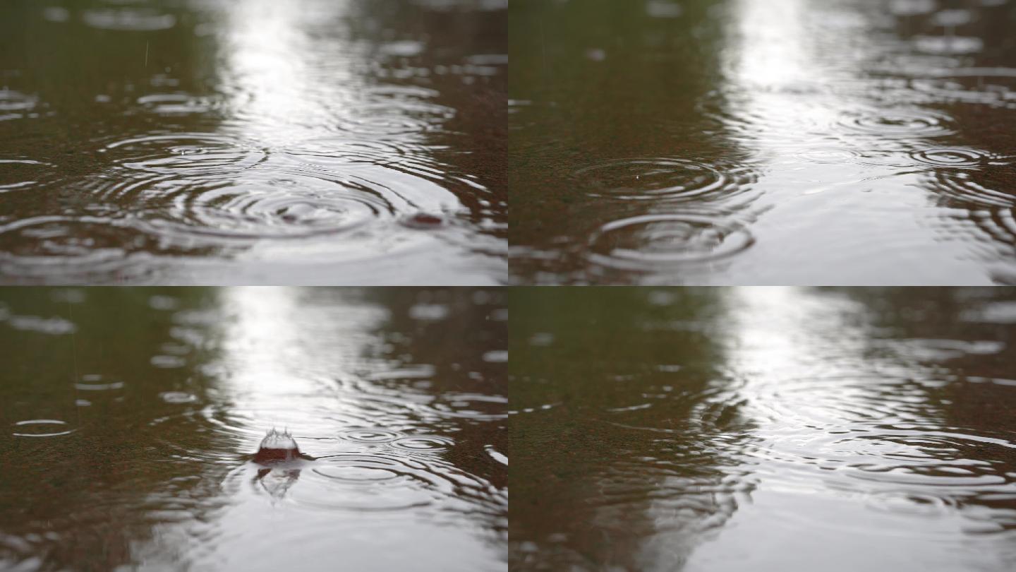 下雨特写