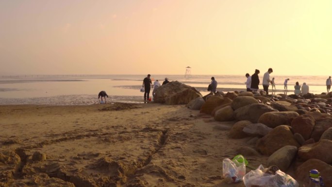 海边浅滩赶海拾贝壳