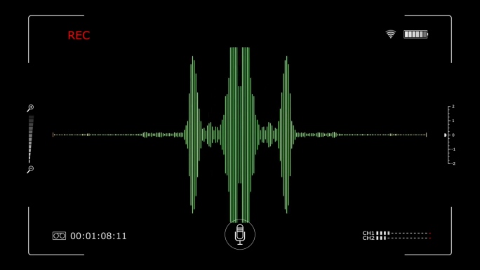 REC高清音频录制框声波频谱图形分析