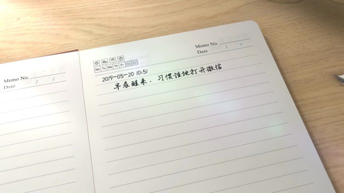 新工作日记