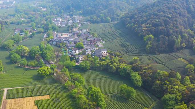 茶茶园茶山风光