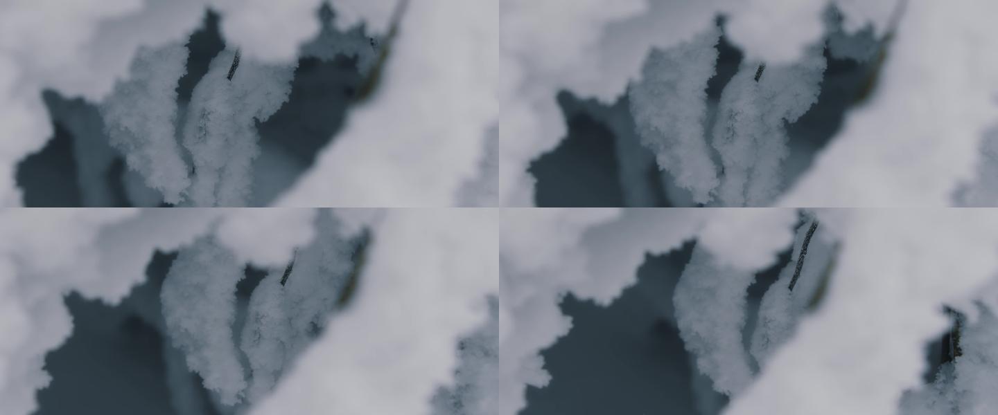 【6K原创视频】断树枝上的积雪
