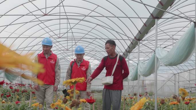 4K电力志愿服务花农