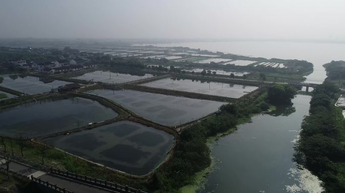 航拍阳澄湖大闸蟹养殖区莲花岛1