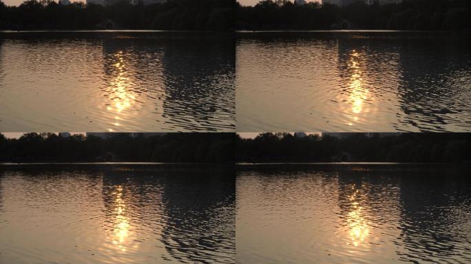 夕阳湖面泛起光晕