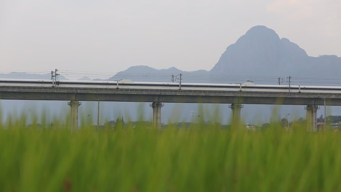 浙江杭长高铁动车高速穿过田野稻田高架桥
