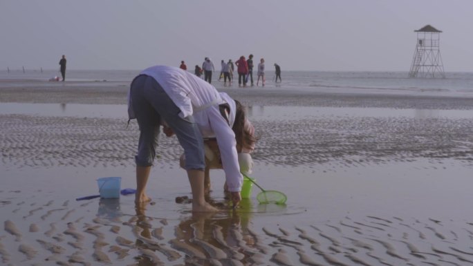 美女赶海拾海鲜海边玩耍