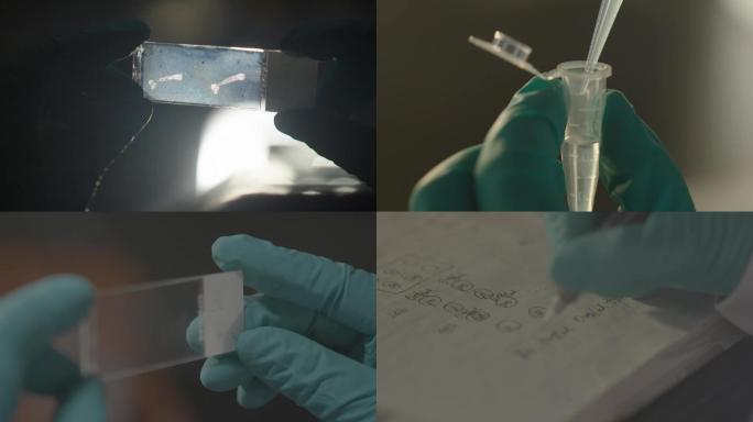 化学实验室显微镜操作医学研究科研核酸检测
