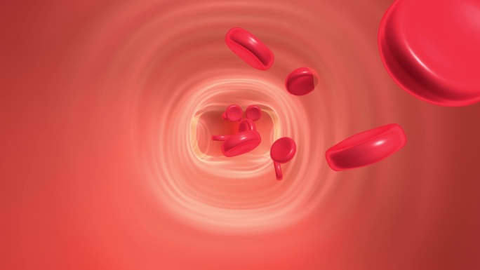 血管保护膜 清理血液 细胞 红细胞