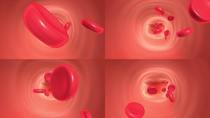 血管保护膜 清理血液 细胞 红细胞