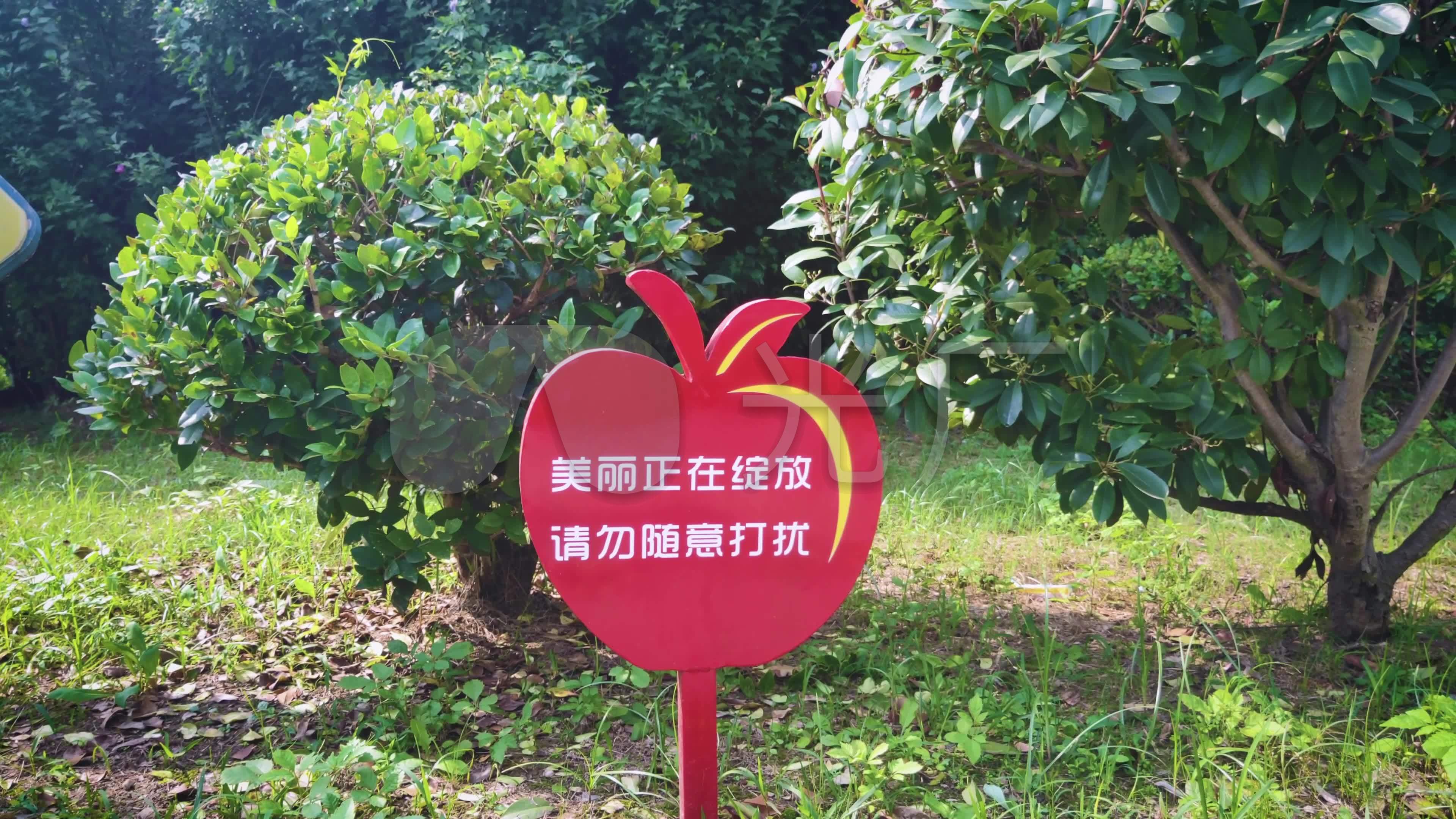 原创】实拍花草牌子标识牌宣传栏 保护环境