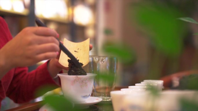 4k 白茶功夫茶泡茶流程镜头 用于茶宣传