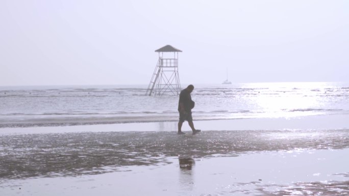 海边浅滩赶海拾贝壳